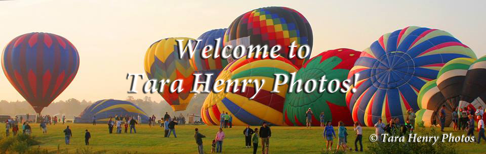 Welcome to Tara Henry Photos